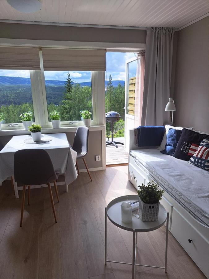 Mysig Laegenhet Med Fjaellutsikt I Saelen Appartement Buitenkant foto