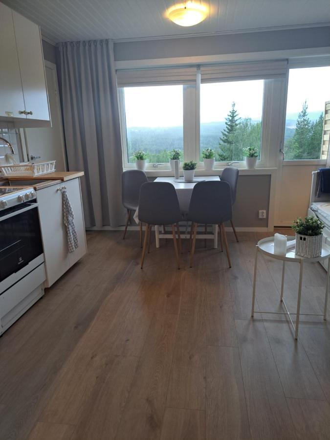 Mysig Laegenhet Med Fjaellutsikt I Saelen Appartement Buitenkant foto